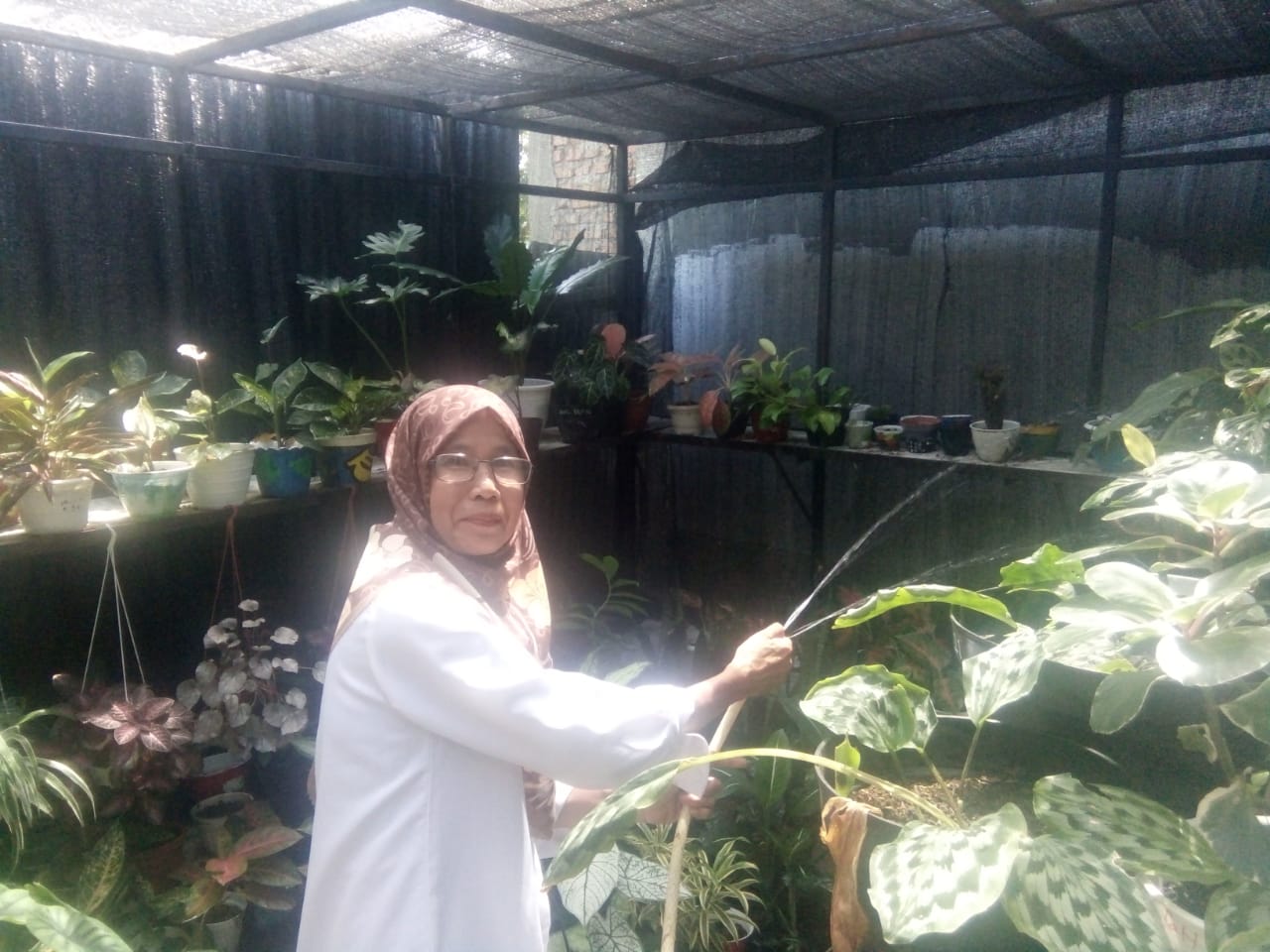 IMG-20220607-WA0015